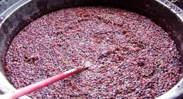 Top 5 způsobů, jak zastavit kvašení vína doma